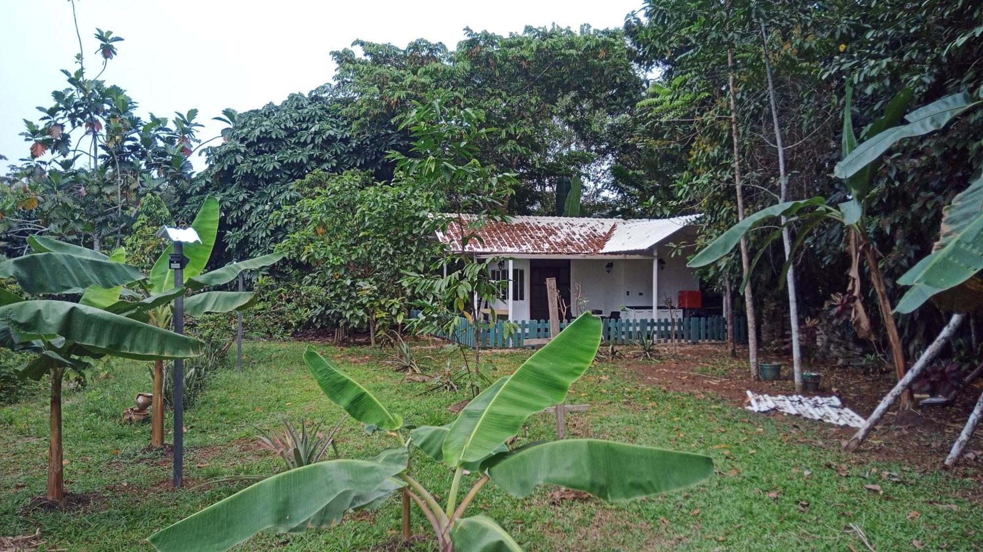 Hostal Suna Vito Puerto Asís Esterno foto