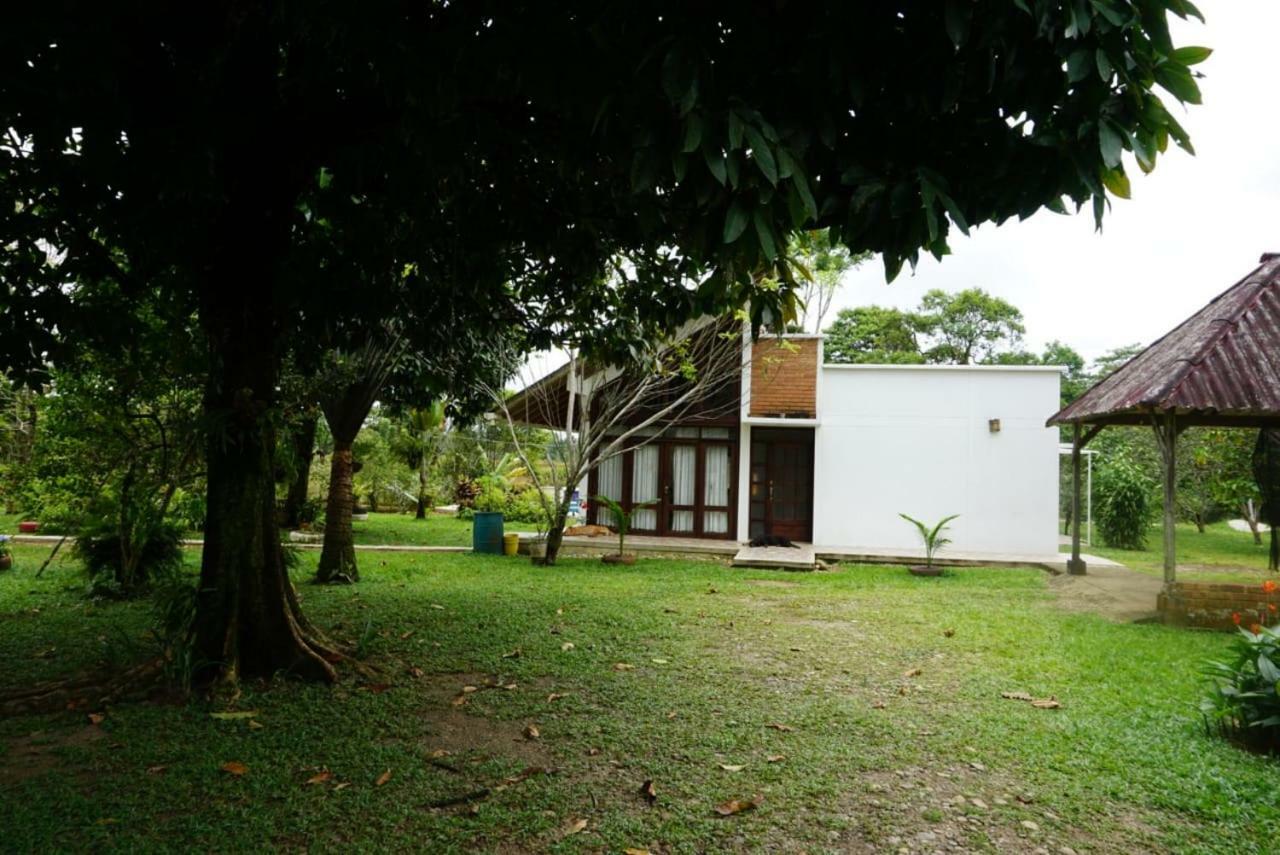 Hostal Suna Vito Puerto Asís Esterno foto